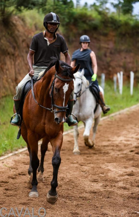 Cavalo Guesthouse & Equestrian Estate Drummond Exterior photo